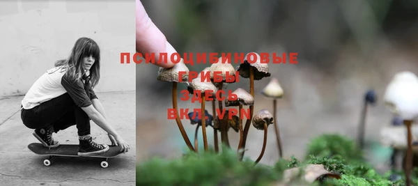 прущие крисы Алексин